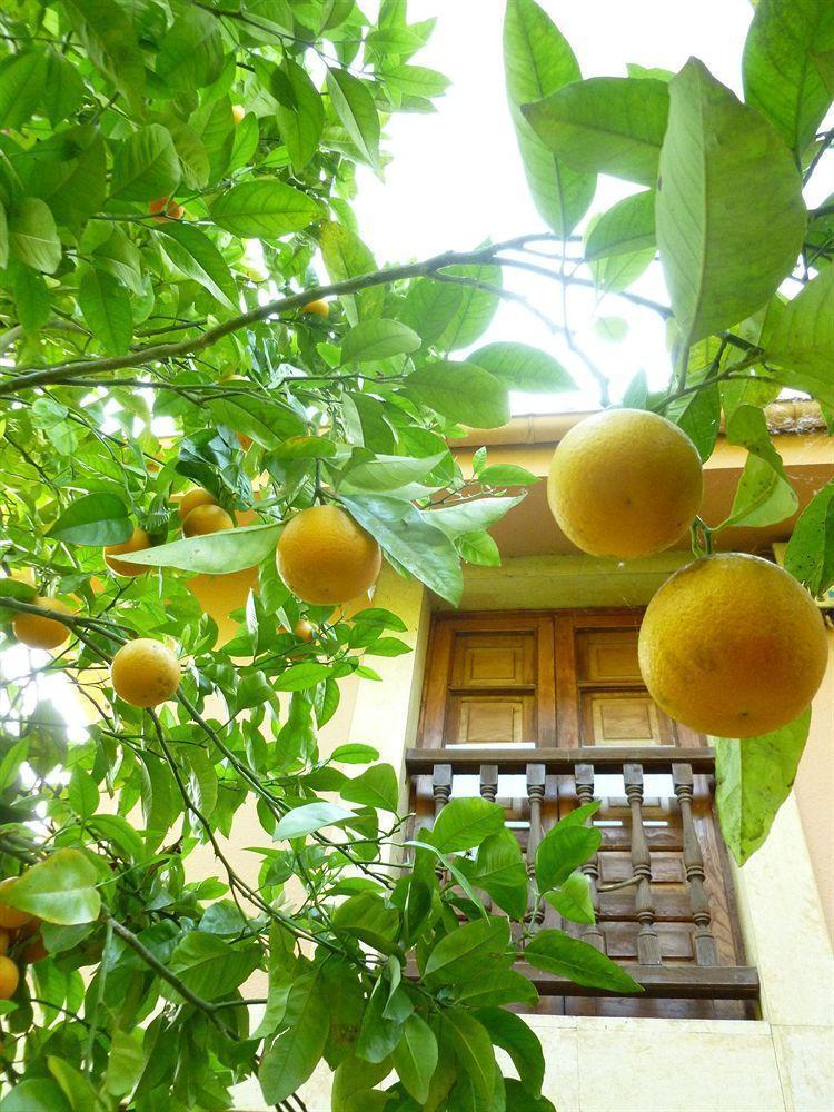 Hotel Rural La Balconada Oviedo Kültér fotó
